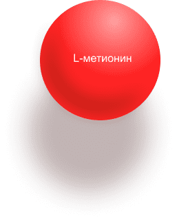 L-метионин